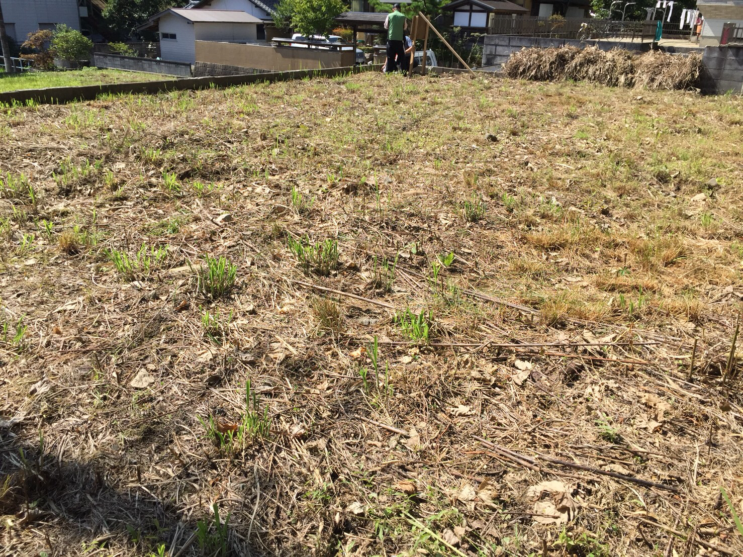 【北茨城市華川町小豆畑字椎ノ木平 売土地】自然豊かな緑あふれる住環境です。100万円